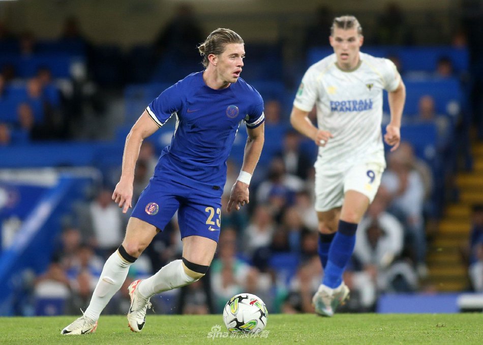 这样庞大的 这样庞大的